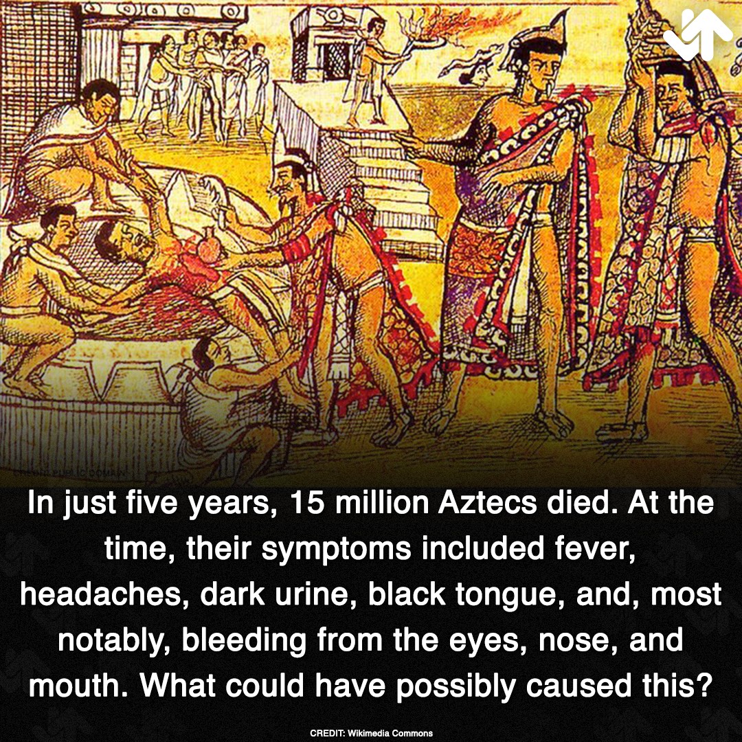 Scientists Are Just Now Figuring Out The Mysterious Disease That Nearly Wiped Out The Aztecs