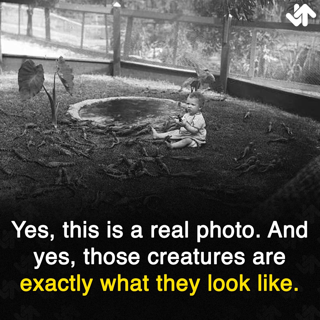17 'Cursed' Historical Photos That Made Us Say 'What Is Happening?'